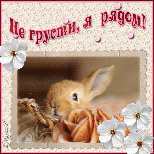 Позитивные картинки не грусти. Гифки Не грусти всё будет хорошо.