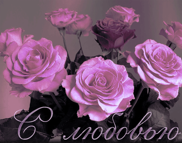 Картинки Розовые розы с днём рождения. Открытки цветы Розовые розы.