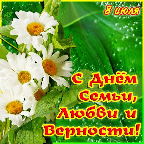 Открытка Зайчик с ромашками. Открытка с ромашками на день рождения.