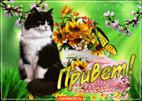 Картинки Привет Какие приветствия. Открытка Привет как дела.