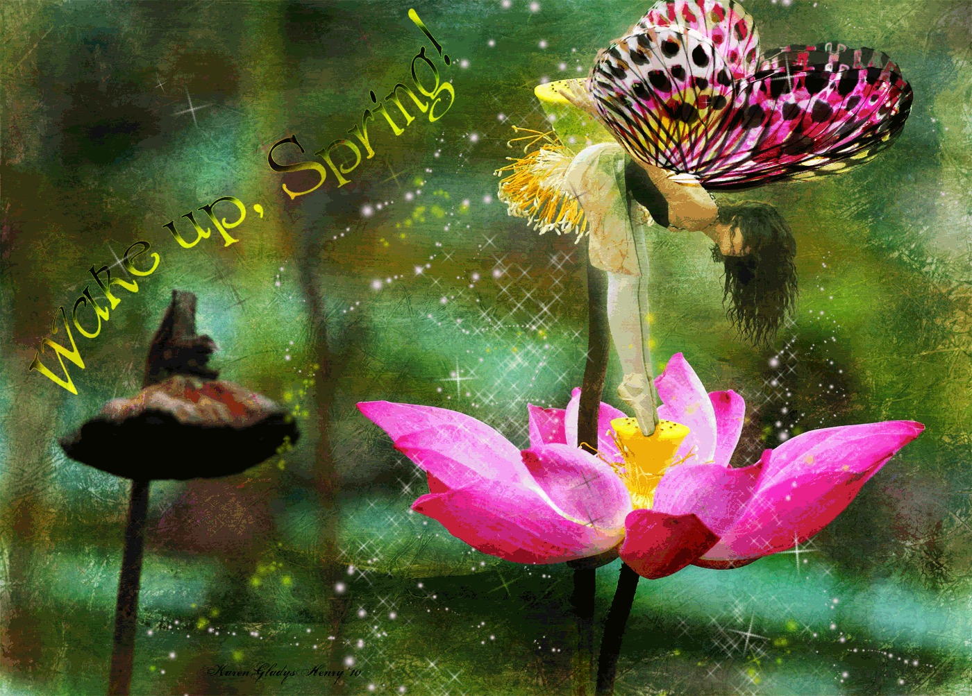 Открытка гиф белый лотос. Открытка Лотос под дождём. Открытка белый лотос на ...