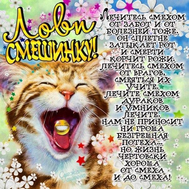 Картинки не грусти пожалуйста. Картинки Не грусти подружка. 