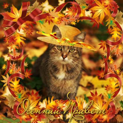 Открытка осенний Привет. Картинки осенний Привет. Картинки скачать бесплатно ...