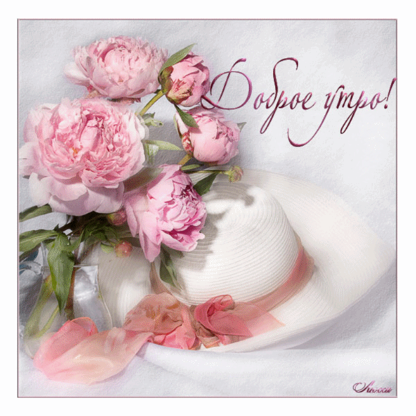 Картинки букетов с пионами. Картинки с пионами. Картинки девушка с пионами. 