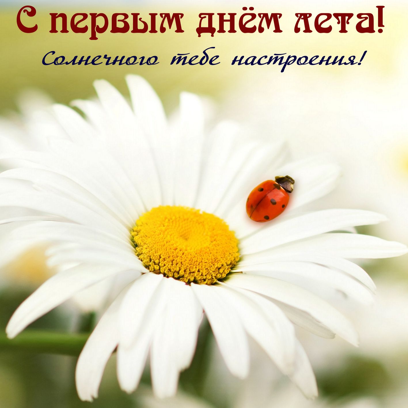 Открытка с грибами, радугой, ягодами к началу лета.Открытка с ребёнком к перв...