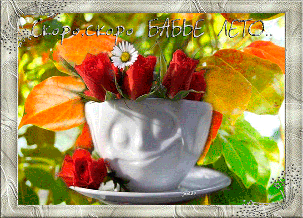 Картинки Бабье лето прикольные. Картинки смешные про бабье лето.