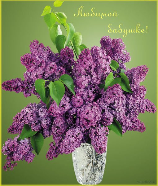 Картинки доброе утро с сиренью. Картинки С днём рождения с сиренью.