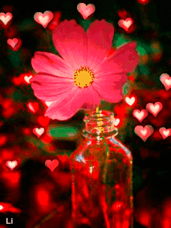 Открытка бабочка На цветке пурпурной космеи.  Открытка к космеи на ветру.