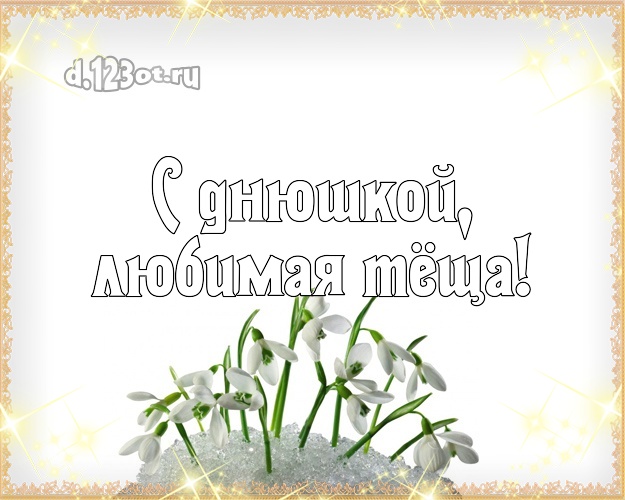 Скачать картинки С днём рождения тёщу. С днём рождения любимая тёща картинки.