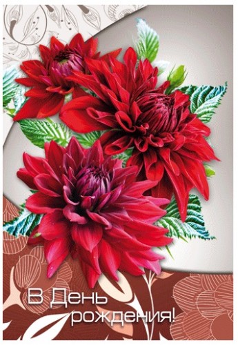 Картинка с георгинами. Открытка в День рождения с георгинами.
