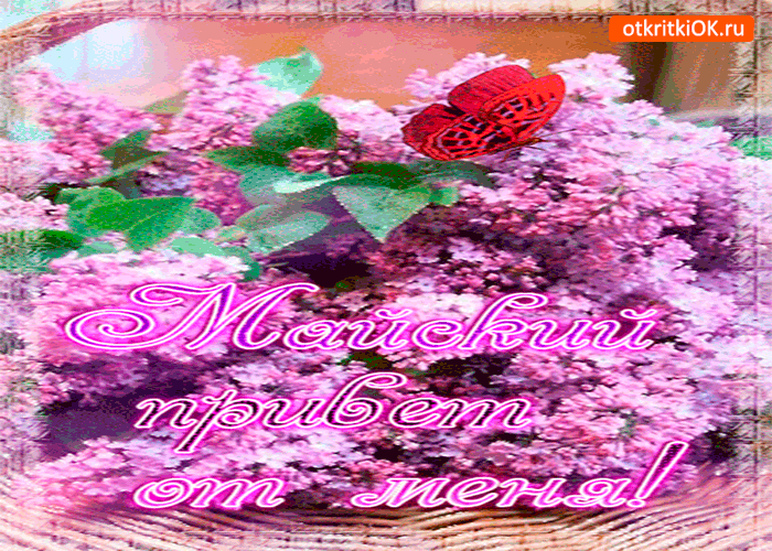 Картинки доброе утро с сиренью. Картинки С днём рождения с сиренью.