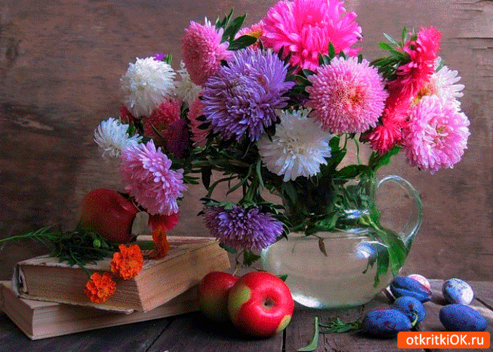 Открытка с астрами. Картинки доброе утро с астрами, картинки с астрами, краси...