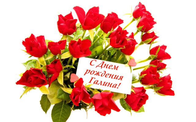 Картинка с красными розами. Живые розы фото. Шикарные розы фото.