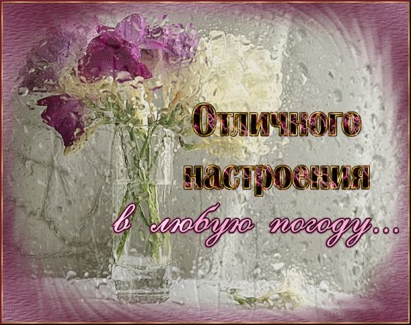 Приколы про погоду. Прикольные нет плохой погоды. Прикольная картинка плохая ...