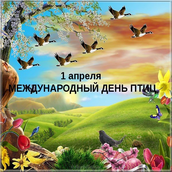 С международным днем птиц картинки. Открытка день птиц 2019.