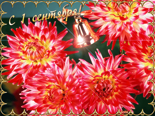 Открытка бабочка сидит на букете малиновых астр. Открытка А это тебе Береги с...