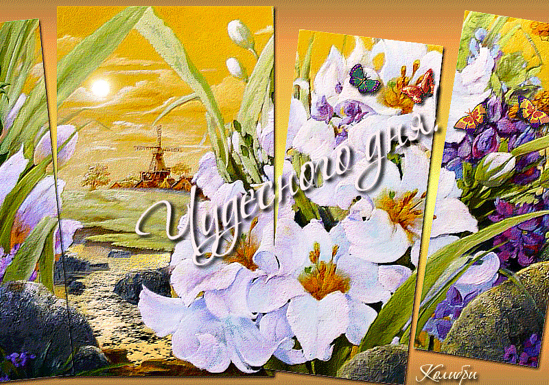 Добрый день пожелания. Добрый день прикол. Добрый зимний день.