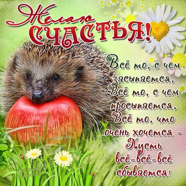 Открытка Пусть в жизни окружают только то, что дарит каждый день большое счас...