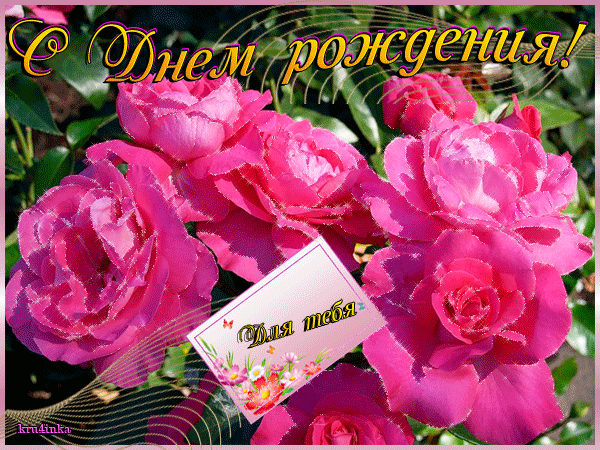 Нарисованные пионы фото. Букеты цветов пионы фото. Красные пионы на заставку.