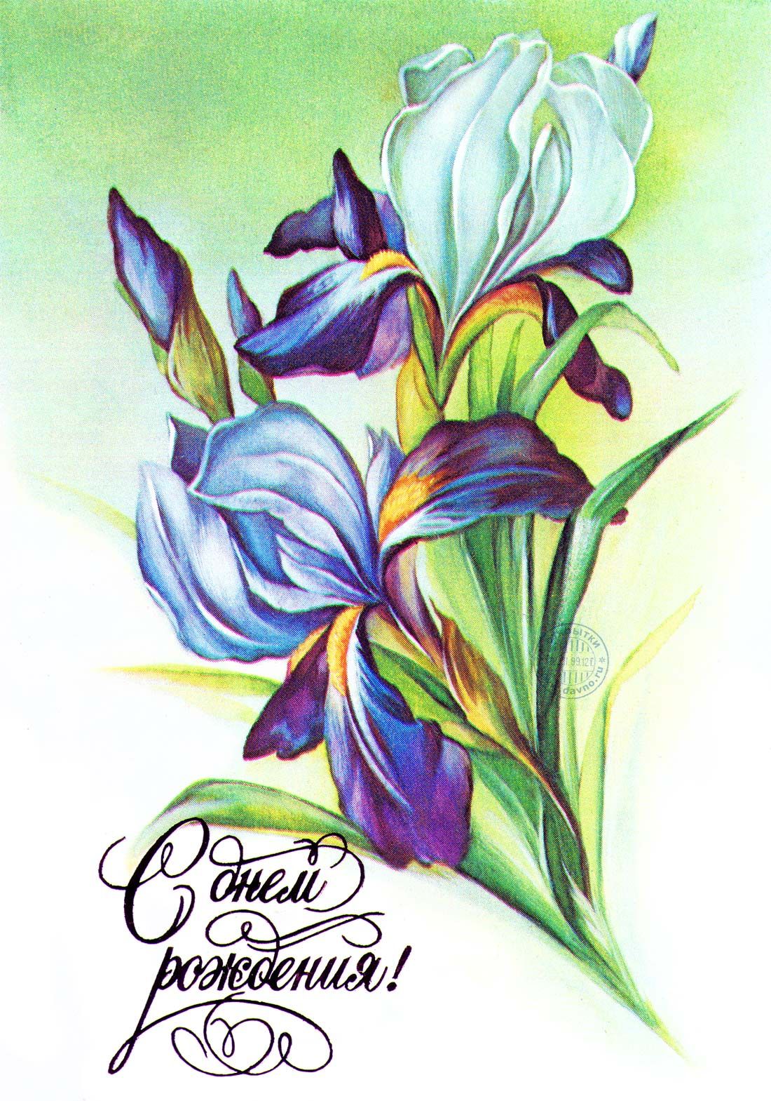 Картинка ирисами. Открытки с ирисами. Открытки С ирисами С днём рождения.