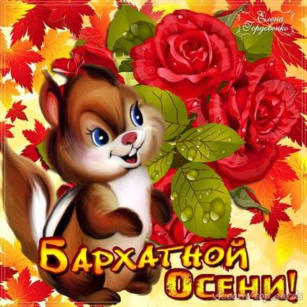 Открытка с котом , с началом осени! Открытки со стихами про осень.