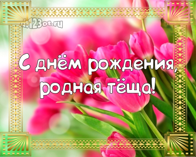 Открытка с красной розой для тёщи на день рождения. Открытки для тещи на день...