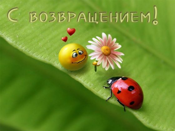 Открытки С приездом домой из отпуска. Открытки С приездом на Родину.