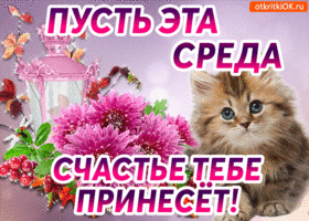 Поздравительная открытка со средой. Открытки поздравления со средой.