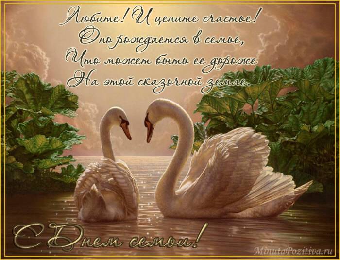 Красивые картинки с лебедями. Картинки с лебедями скачать. Картинки лебеди на...