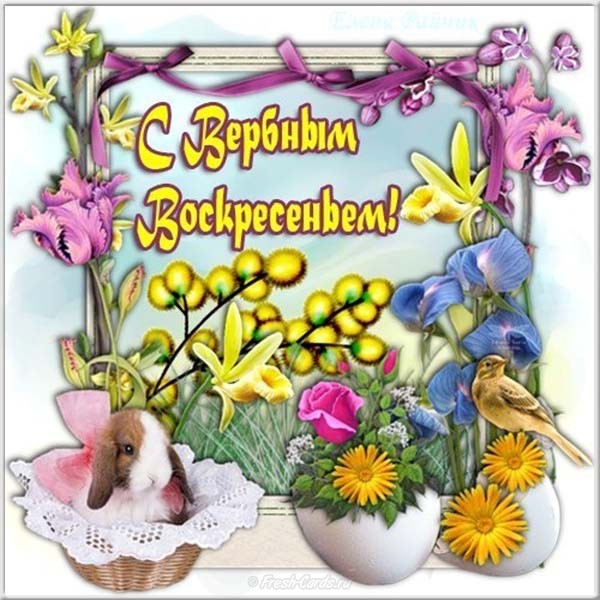 Открытка поздравляю от всей души, с вербным воскресеньем! Открытка мира, добр...