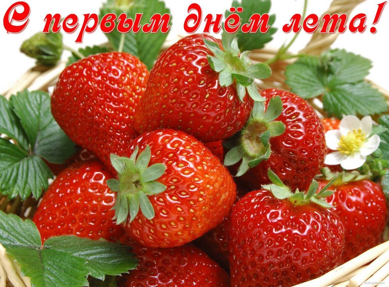 Открытка с котом и букетом цветов С первым днем лето! 