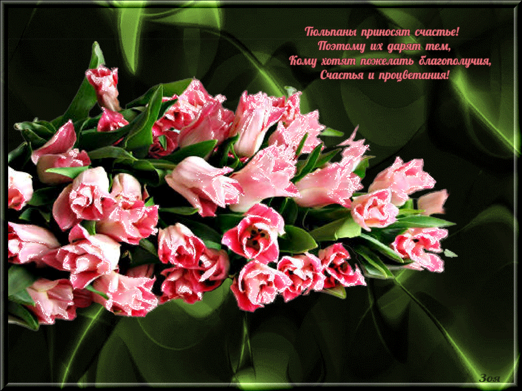 Тюльпаны открытки красивые с пожеланиями. Тюльпаны открытка. Пожелания здоровья и благополучия. Анимационные тюльпаны. С днём рождения тюльпаны.