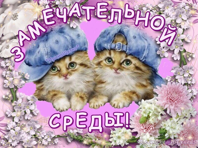 Открытка гиф анимация Пусть это среда Счастья тебе принесёт!