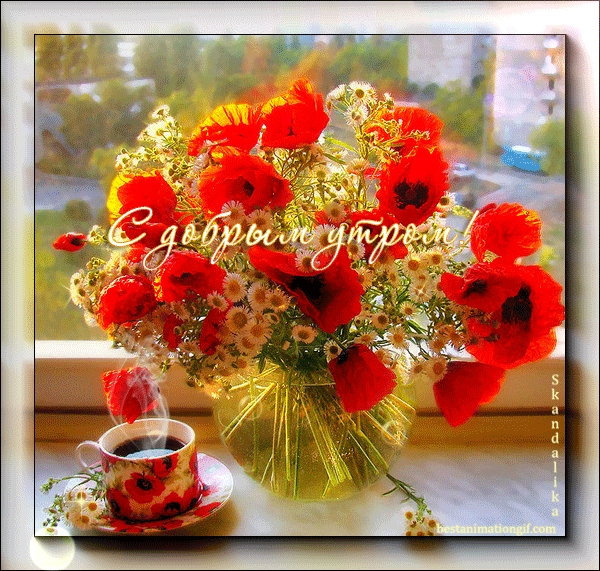 Открытка гиф большой красный мак. С днем рождения мерцающая с букетом красных...