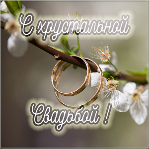 15 лет свадьбы поздравления прикольные. 15 лет совместной жизни статус.