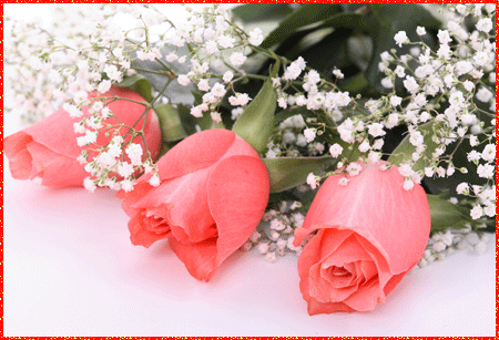 Картинки с надписью поздравляю. Картинки для поздравления без текста.