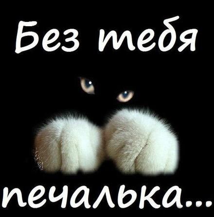 Картинка Я скучаю по тебе любимый. Картинка Я скучаю без тебя.