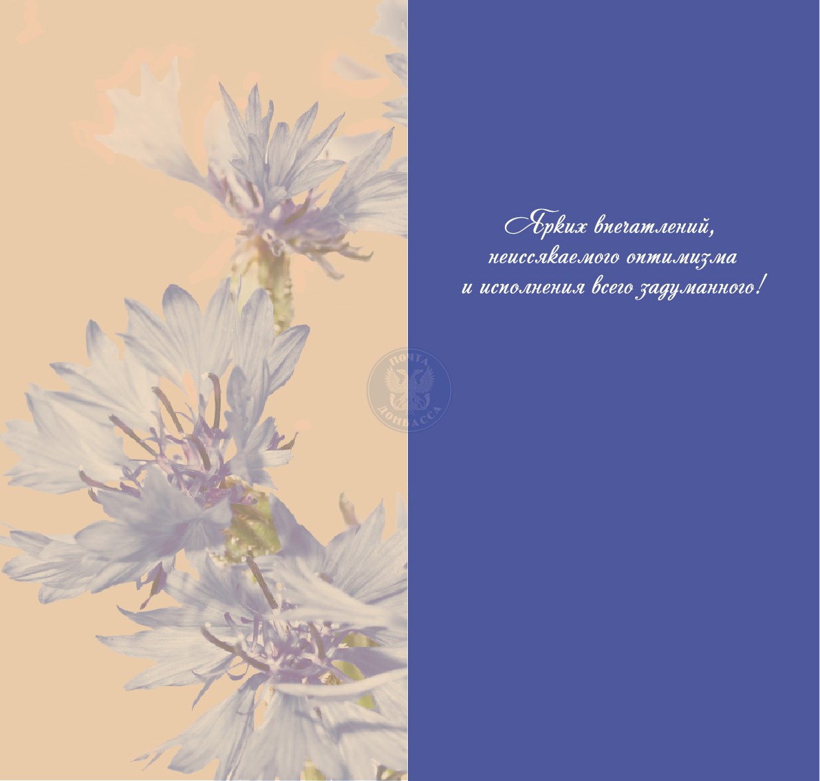 Открытка тебе в подарок Василёк добра и радости цветок. Открытка будь любимой...