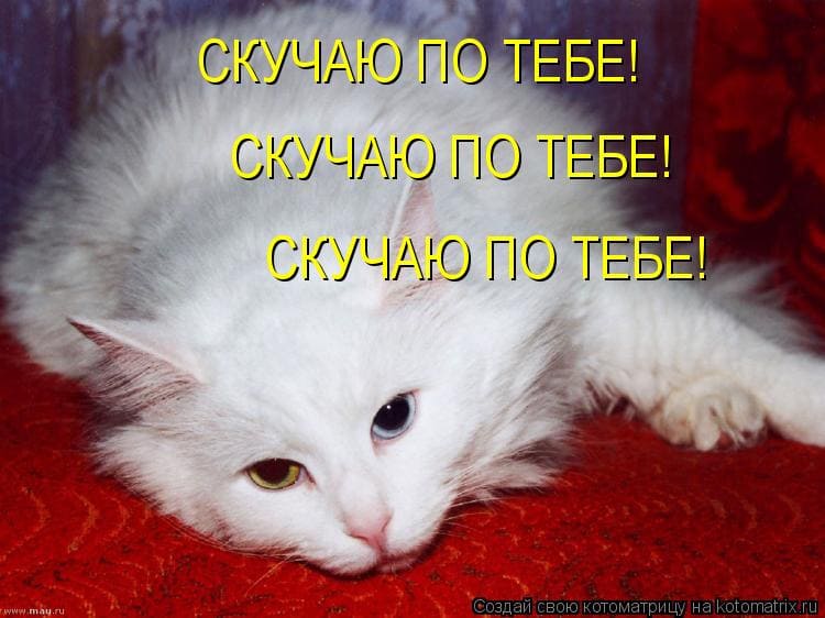 Красивые картинки для любимой жены скучаю. Картинки я скучаю по тебе любимая.