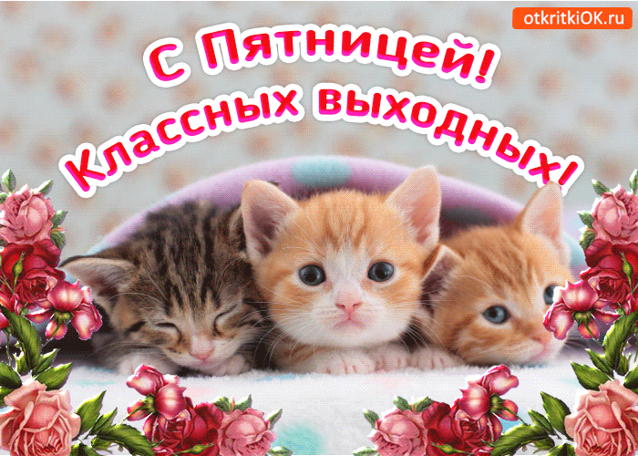 Открытки Доброе утро хорошей пятницы. Открытки хорошей пятницы и выходных.