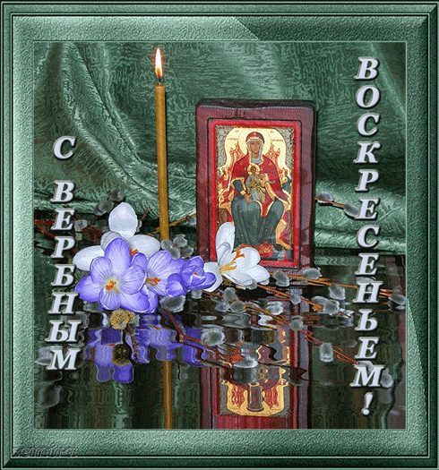 Открытка с вербой над водой переливающаяся анимированная на Вербное воскресенье.