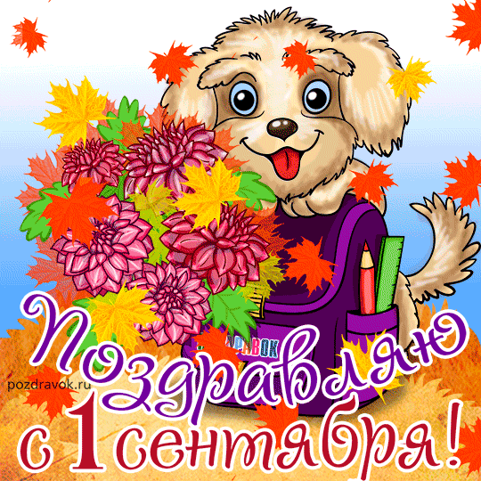 Открытка с днем знаний студенту. Открытка с днем знаний скачать. 