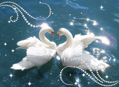 Открытки с Днём свадьбы лебеди. Открытка С Днём рождения С лебедями.