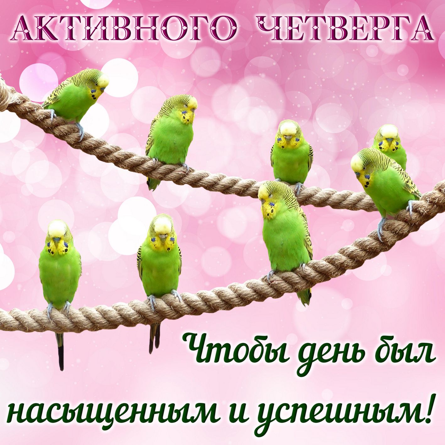 Открытка Счастливого четверга. Открытки с чайным сервизом про четверг.