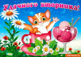 Картинки Удачного вторника. Картинки с надписью вторник. Отличного вторника к...
