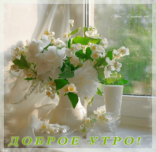 Открытка Доброе утро С чашечкой чая и букетом жасмина стеклянной вазе.