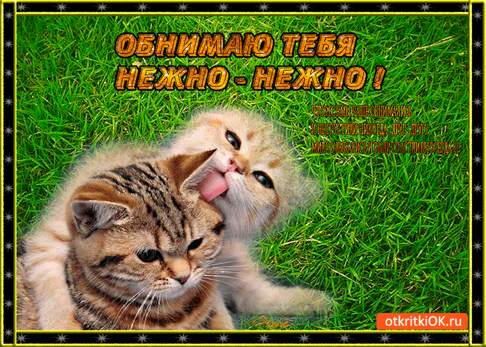 Открытки Обнимаю тебя крепко. Открытки обнимаю. Открытки Целую обнимаю.