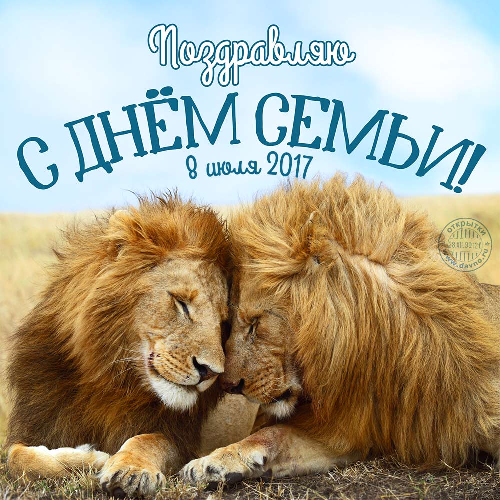 Открытка на День семьи для жены. Открытки с Днем семьи гиф. 