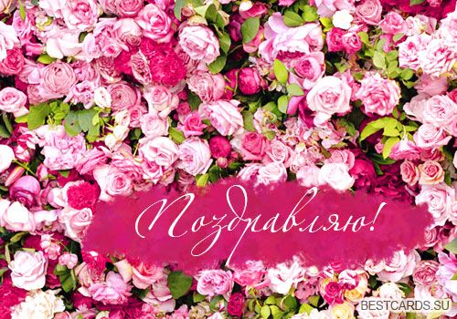 Открытка с цветами поздравляю. картинки с надписью Поздравляю.