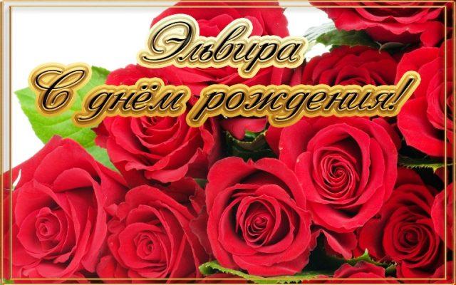 Картинка с красными розами. Живые розы фото. Шикарные розы фото.